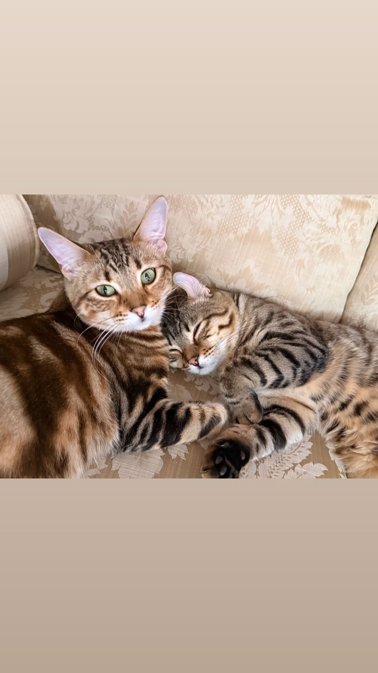 laurinchhhe instagram image archive image