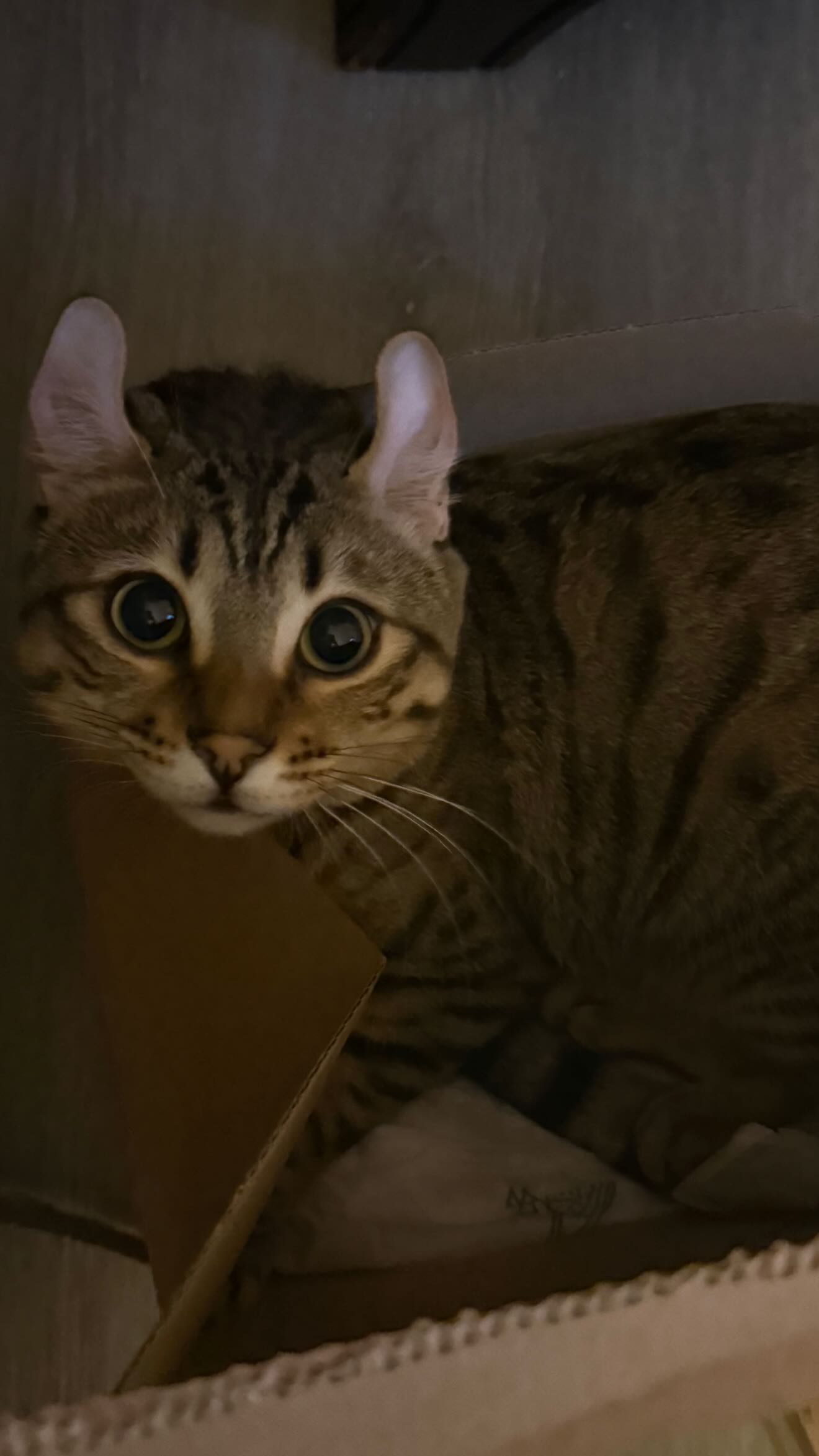 laurinchhhe instagram image archive image