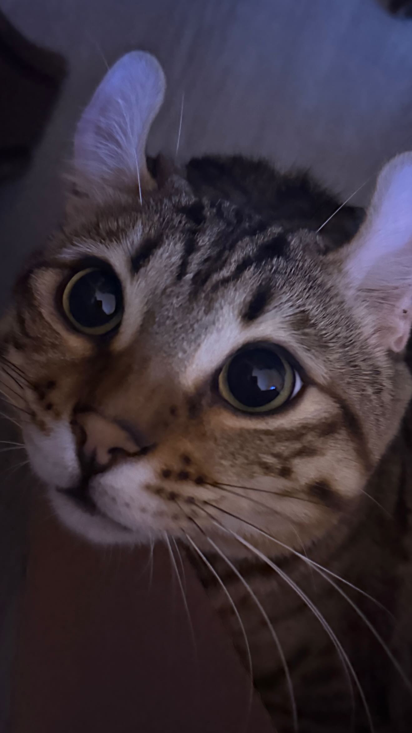 laurinchhhe instagram image archive image