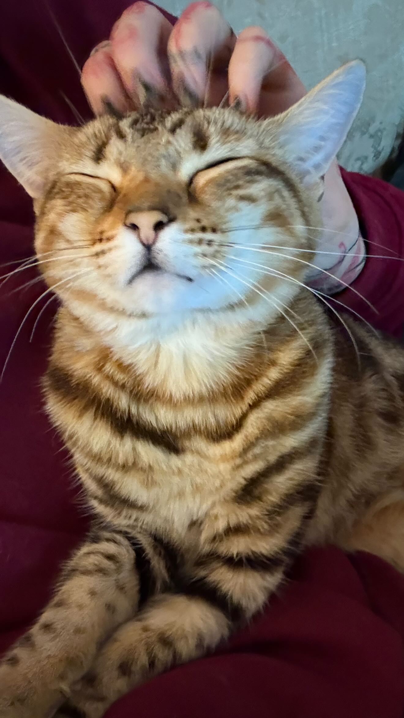 laurinchhhe instagram image archive image