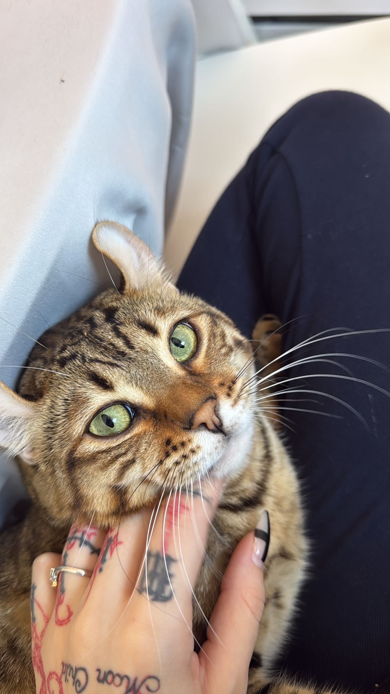 laurinchhhe instagram image archive image