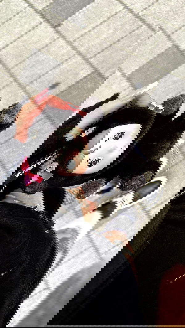 laurinchhhe image ~ Altpins