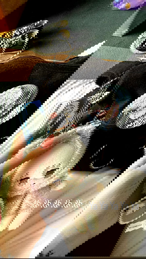 laurinchhhe image ~ Altpins