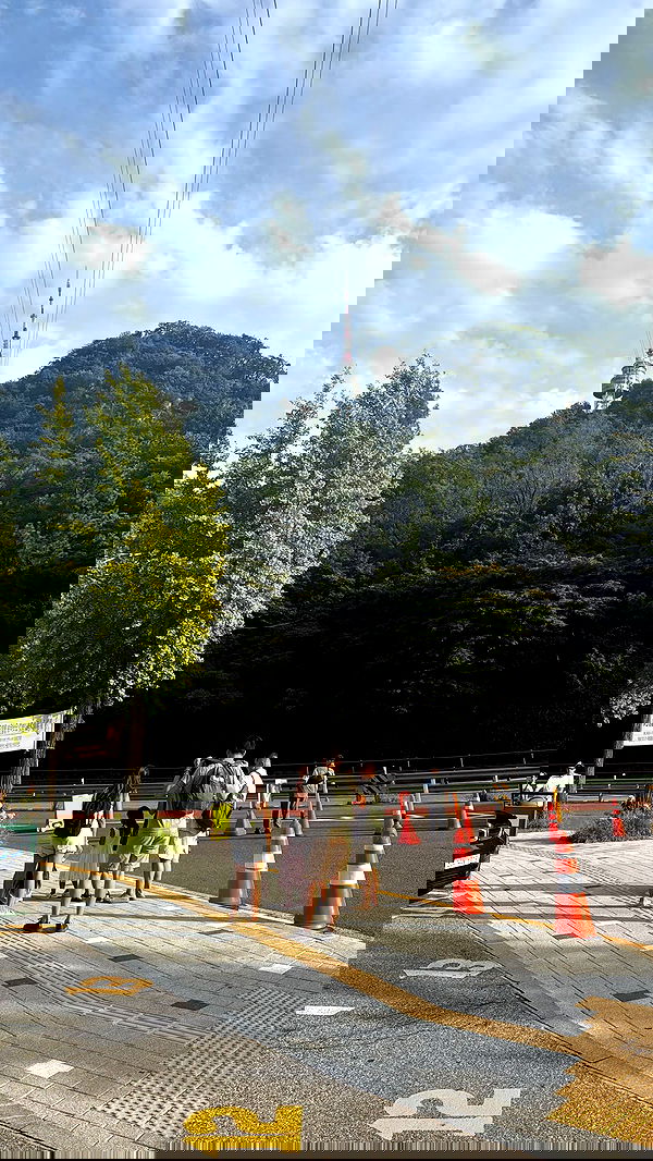 laurinchhhe image ~ Altpins