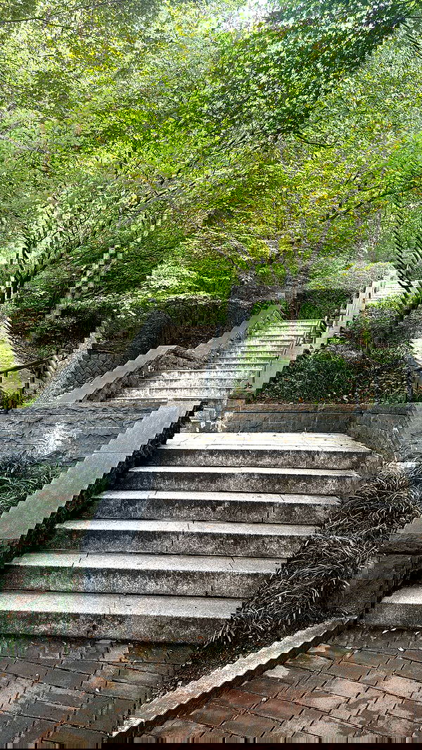 laurinchhhe image ~ Altpins