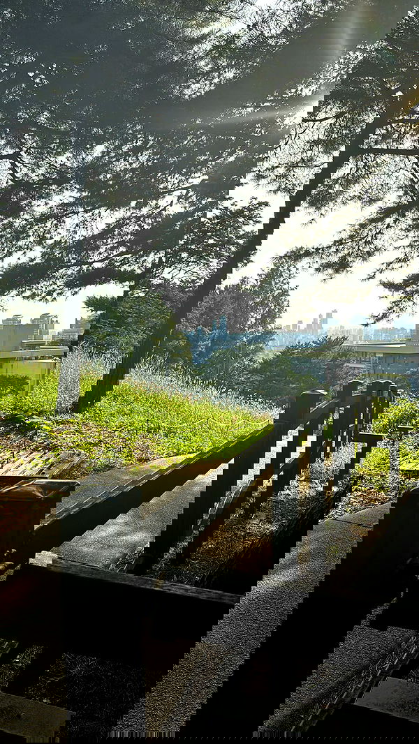 laurinchhhe image ~ Altpins