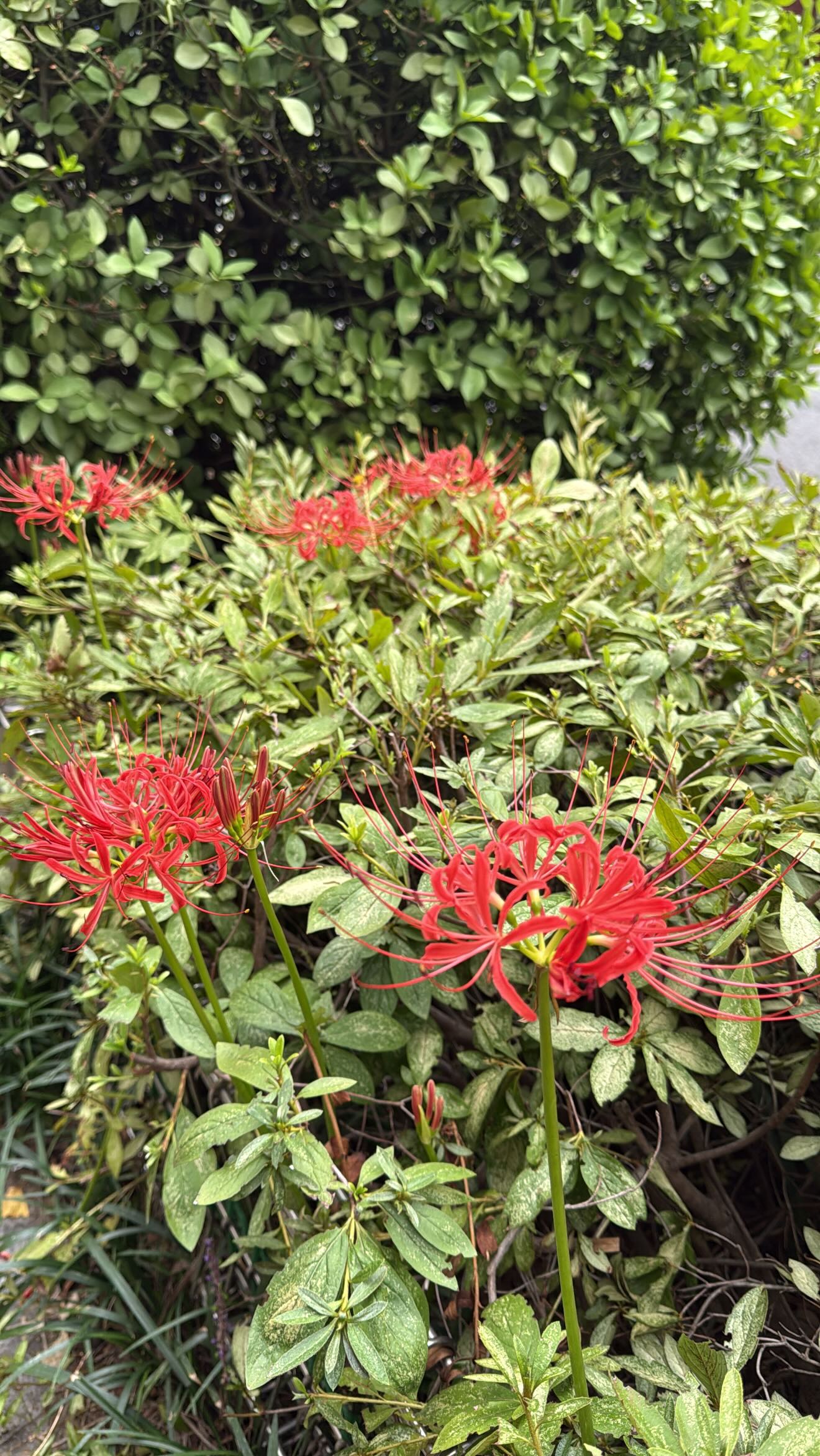 laurinchhhe instagram image archive image