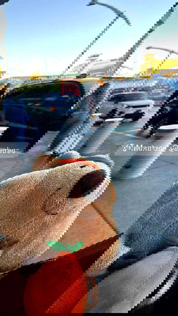 laurinchhhe image ~ Altpins