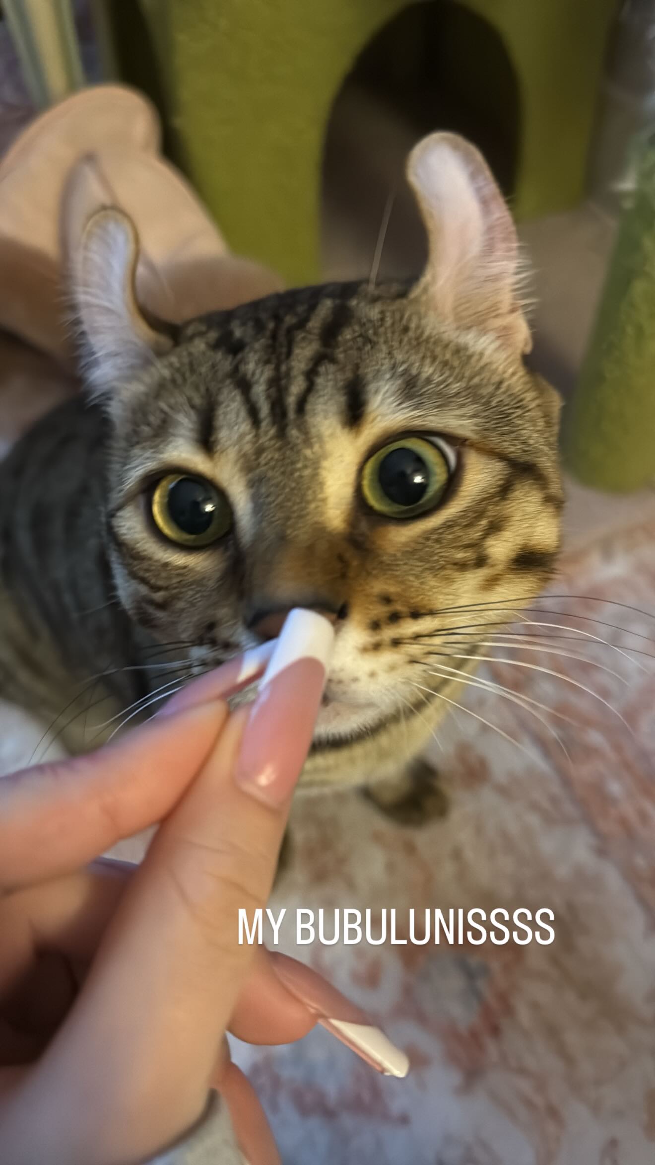 laurinchhhe instagram image archive image