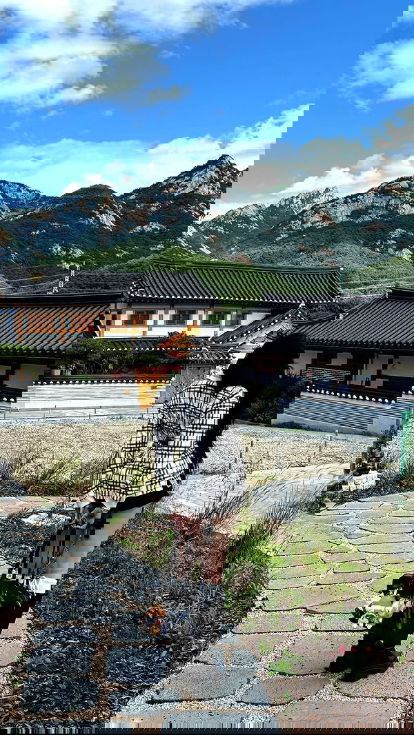 laurinchhhe image ~ Altpins