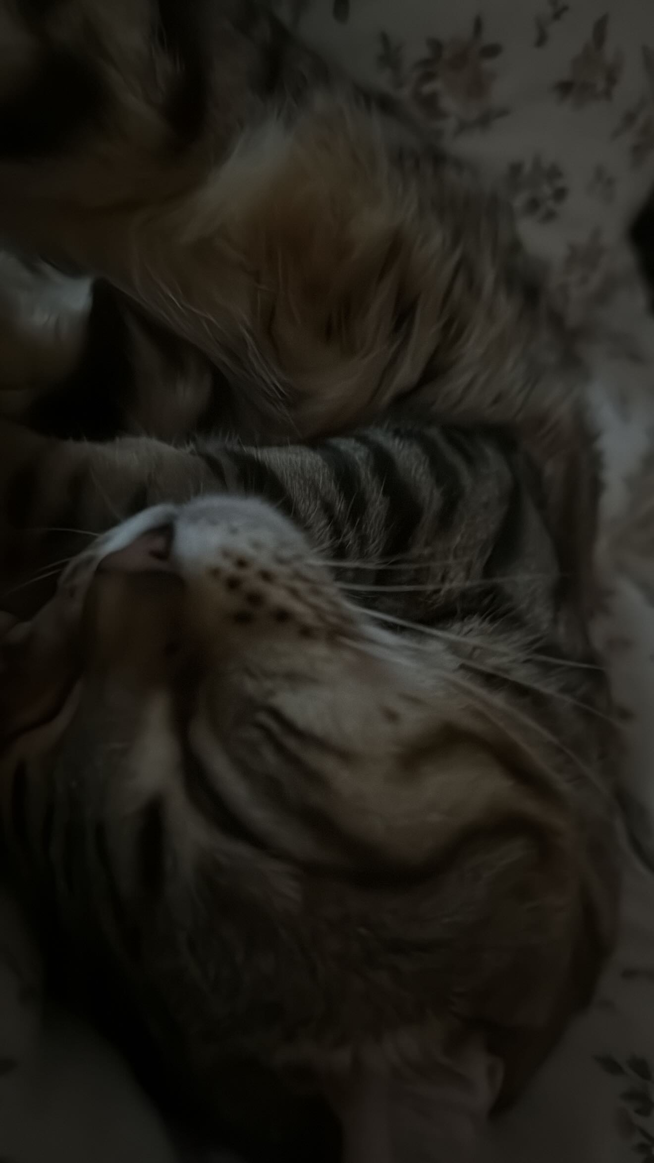 laurinchhhe instagram image archive image