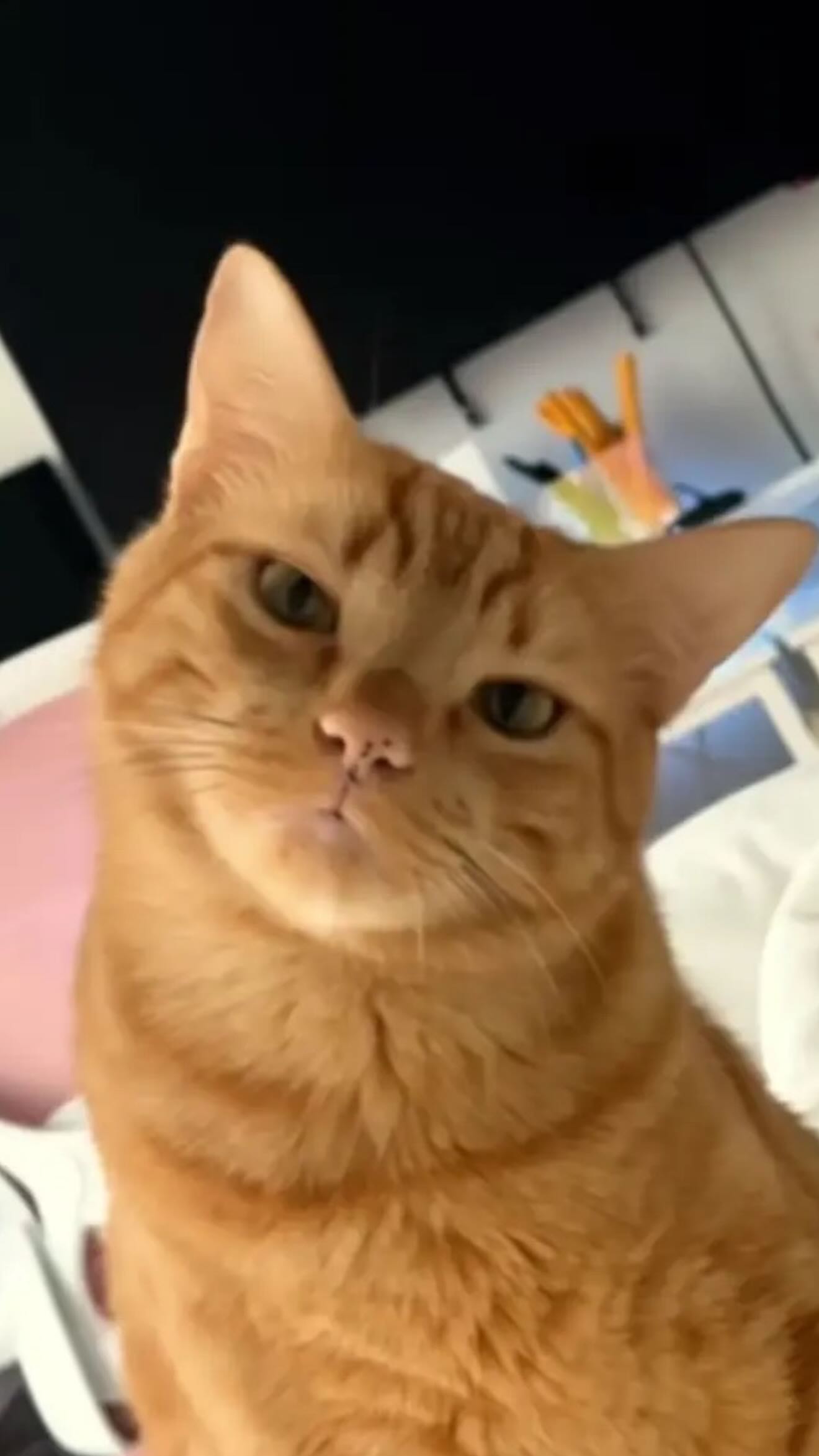 laurinchhhe instagram image archive image