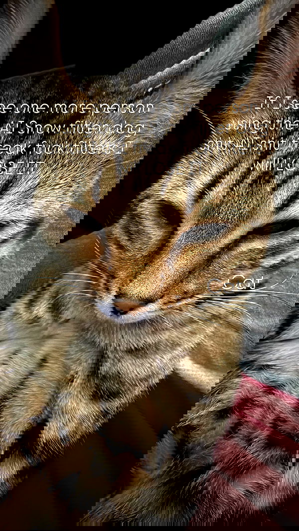 laurinchhhe image ~ Altpins