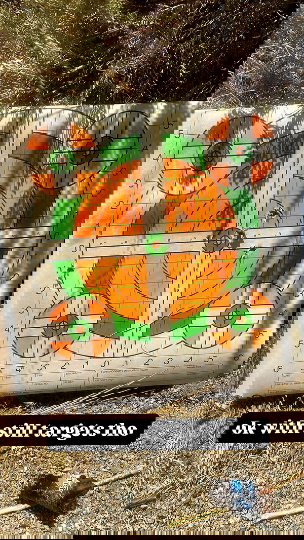 laylafleet1 laylafleet1 archive image