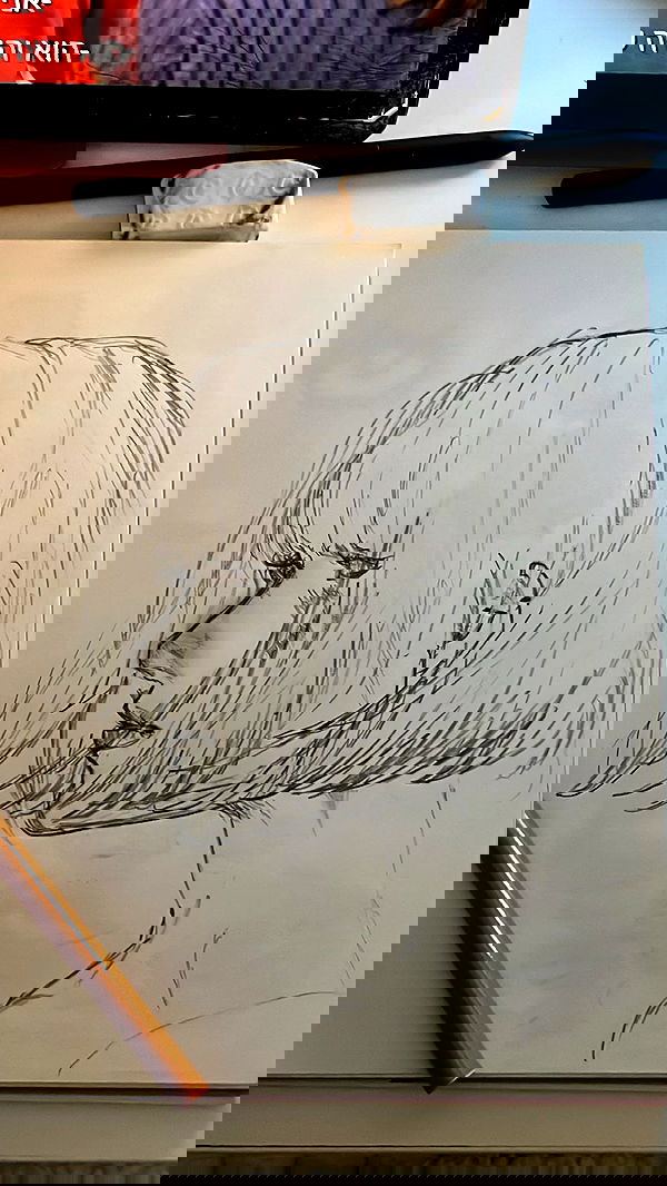 lea._3827 lea._3827 archive image