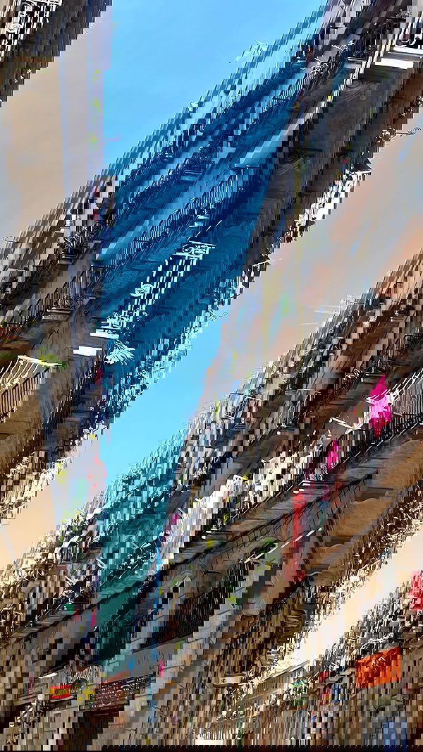 lea._3827 lea._3827 archive image