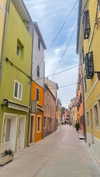 leelafleck Altpins Profile Picture