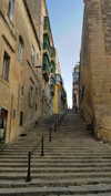 leelafleck Altpins Profile Picture