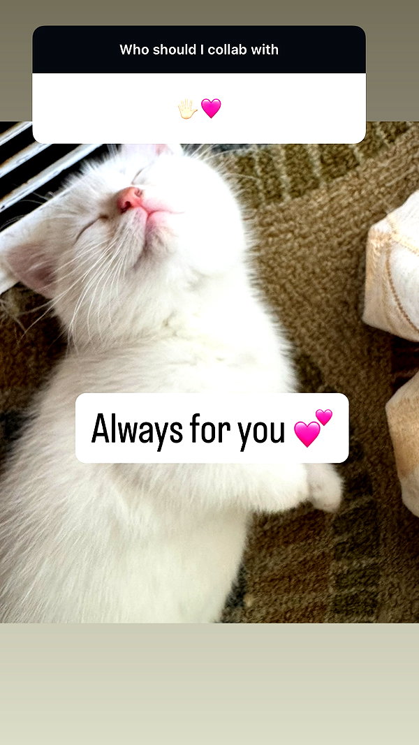 leighbunbun instagram image archive image