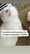 leighbunbun Altpins Profile Picture