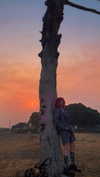 lejinfan Altpins Profile Picture