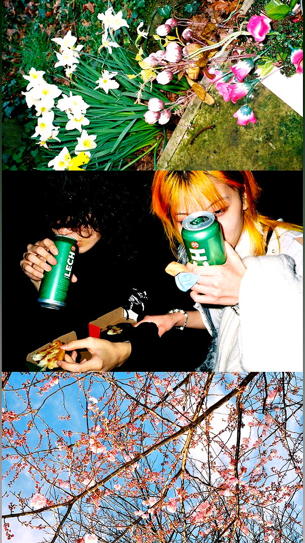 lejinfan instagram image archive image