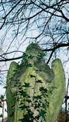 lejinfan Altpins Profile Picture
