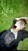 lejinfan Altpins Profile Picture
