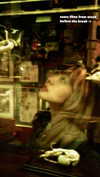 lejinfan Altpins Profile Picture