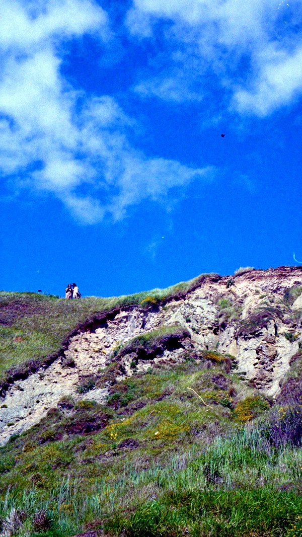 lejinfan lejinfan archive image