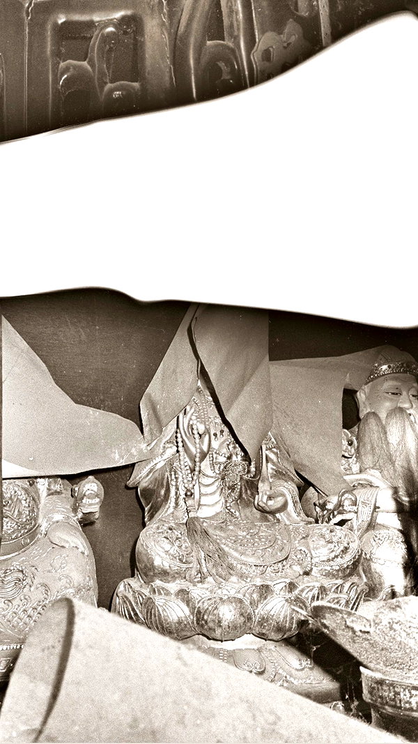 lejinfan lejinfan archive image