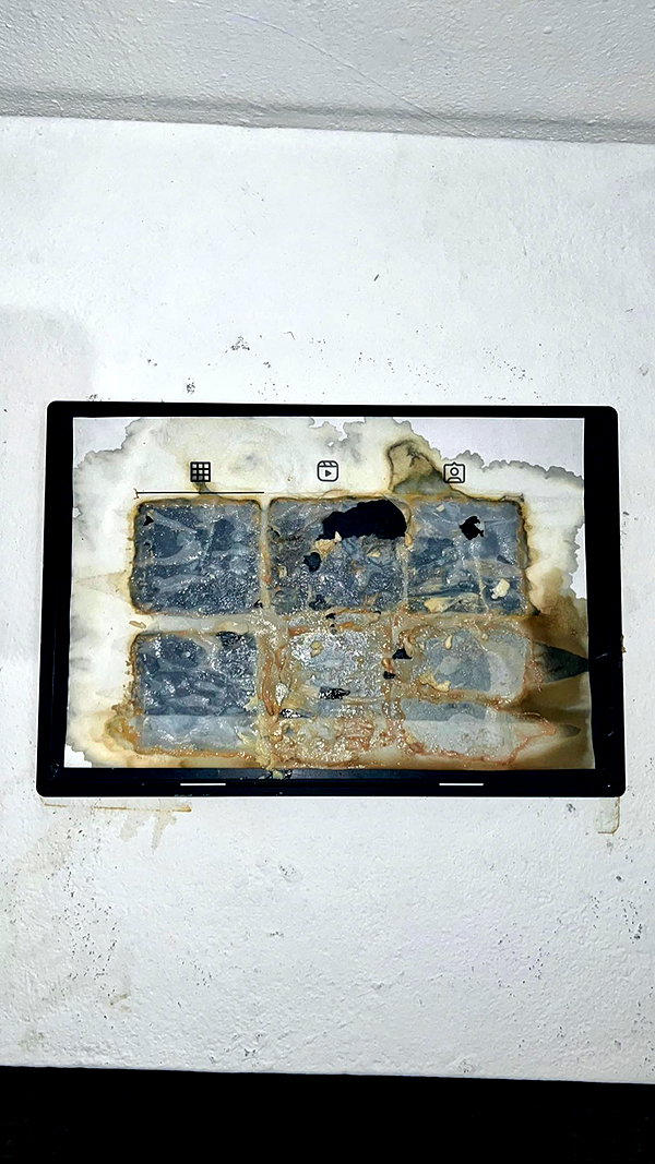 lejinfan lejinfan archive image