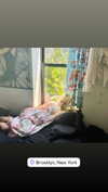 lejinfan Altpins Profile Picture