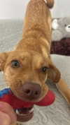 lera.genadenik Altpins Profile Picture