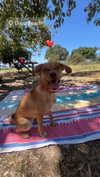 lera.genadenik Altpins Profile Picture
