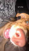 lera.genadenik Altpins Profile Picture