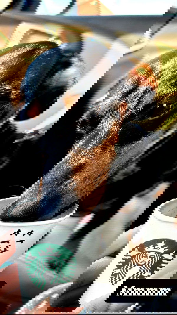 lesliem4rtinez lesliem4rtinez archive image