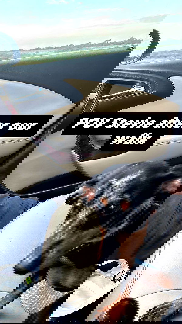 lesliem4rtinez lesliem4rtinez archive image