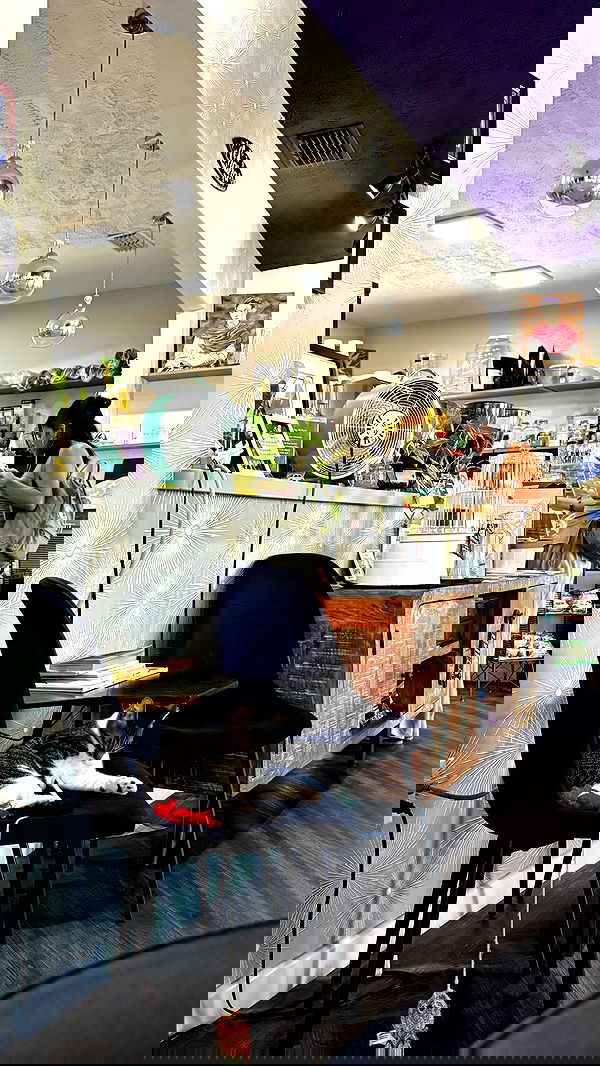 lesliem4rtinez lesliem4rtinez archive image