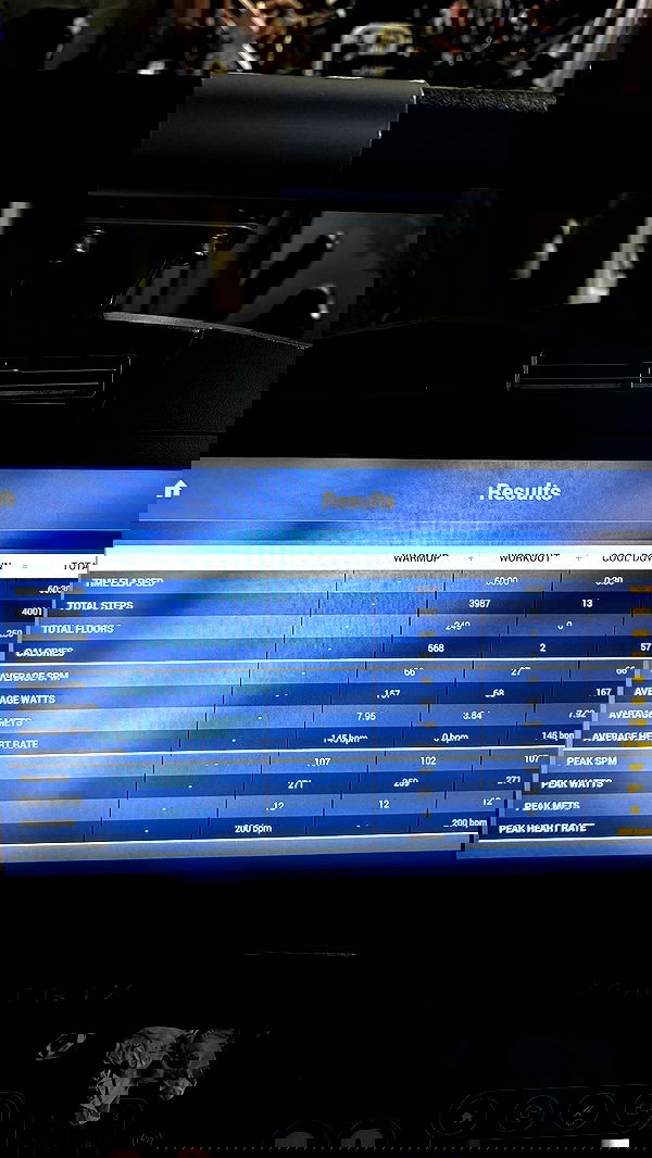 lesliem4rtinez lesliem4rtinez archive image