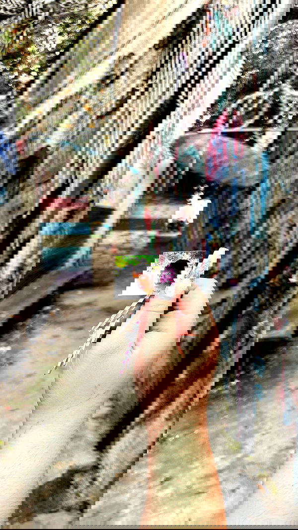 li.zi.707 li.zi.707 archive image