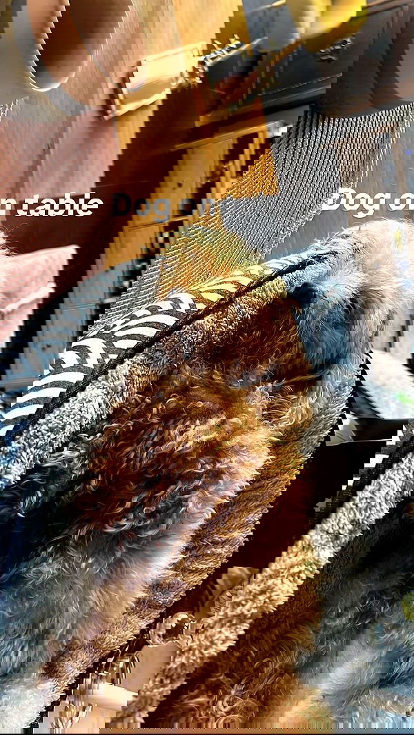 li.zi.707 li.zi.707 archive image