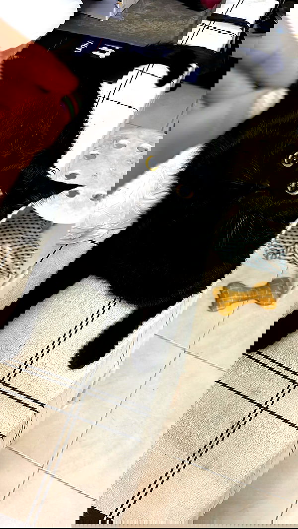 li.zi.707 li.zi.707 archive image