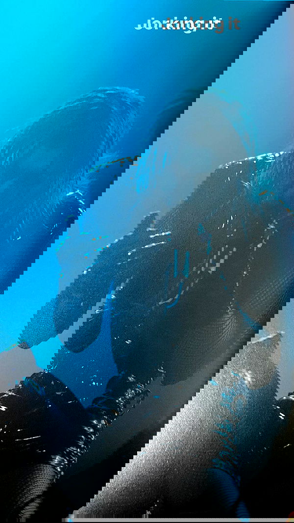 li.zi.707 li.zi.707 archive image