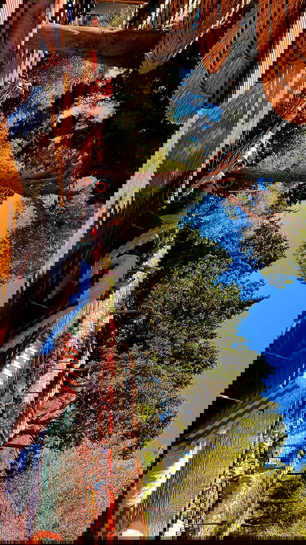 lia_abramovich image ~ Altpins