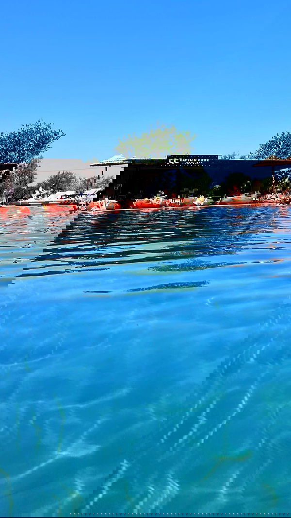 lia_abramovich image ~ Altpins