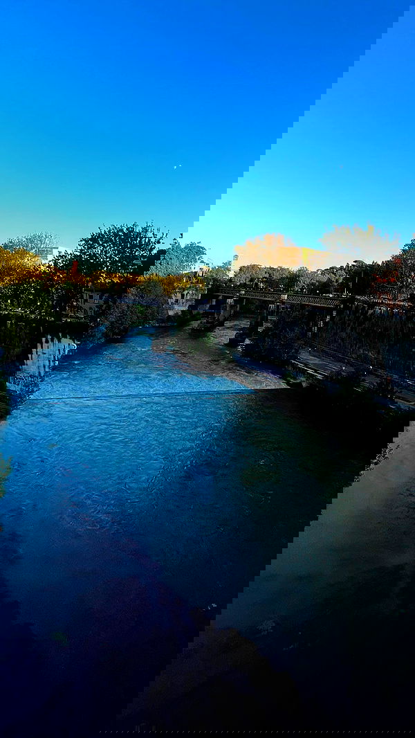 lia_abramovich image ~ Altpins