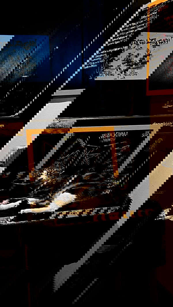 lia_abramovich image ~ Altpins