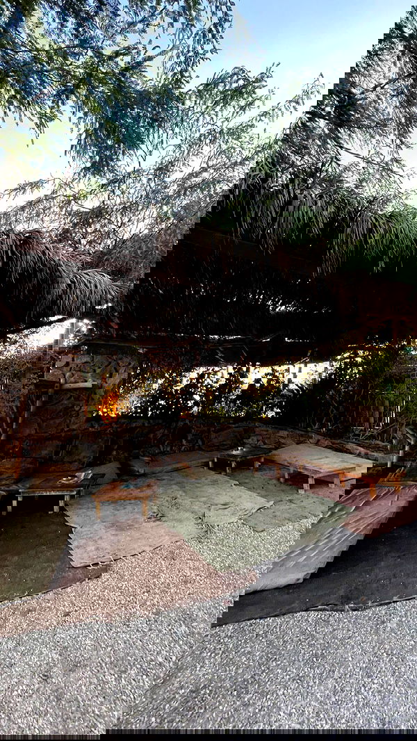 lia_abramovich image ~ Altpins