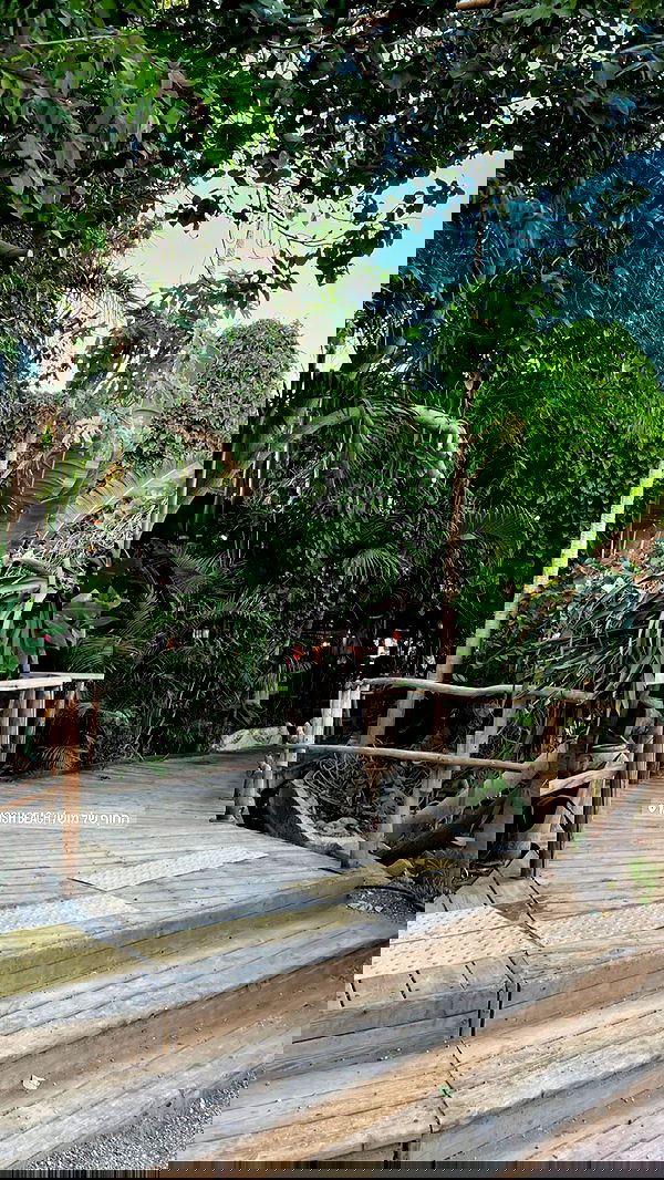 lia_abramovich image ~ Altpins